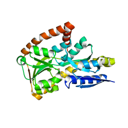 BU of 4pgp by Molmil