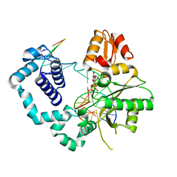 BU of 4pgq by Molmil