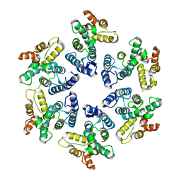 BU of 4ph0 by Molmil