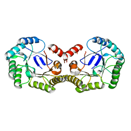 BU of 4ph6 by Molmil