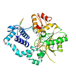 BU of 4phd by Molmil