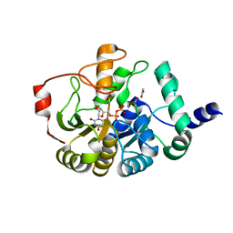 BU of 4phr by Molmil