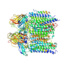 BU of 4pi0 by Molmil