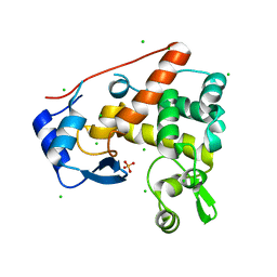 BU of 4pi7 by Molmil