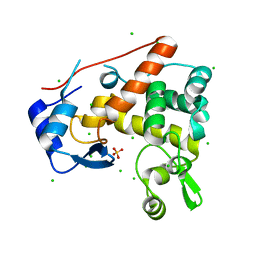 BU of 4pi8 by Molmil