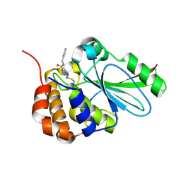 BU of 4pid by Molmil