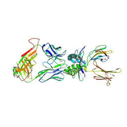 BU of 4pjb by Molmil