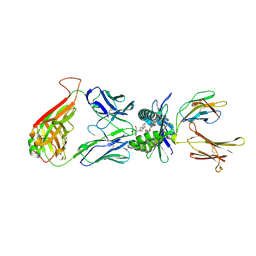 BU of 4pjc by Molmil