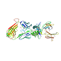 BU of 4pjx by Molmil