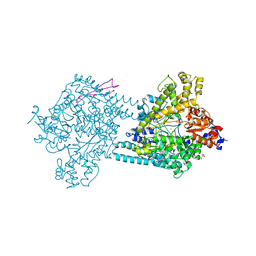 BU of 4pkc by Molmil