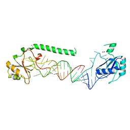 BU of 4pkd by Molmil