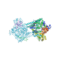 BU of 4pkf by Molmil