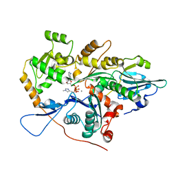 BU of 4pkg by Molmil