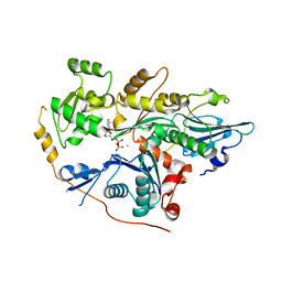 BU of 4pkh by Molmil