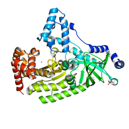 BU of 4pkq by Molmil