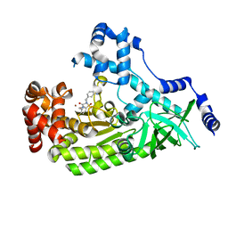 BU of 4pku by Molmil