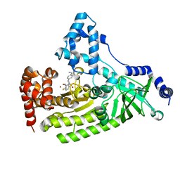 BU of 4pkv by Molmil