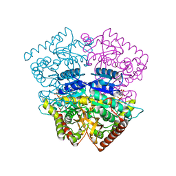 BU of 4plf by Molmil