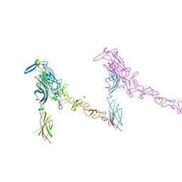 BU of 4plo by Molmil