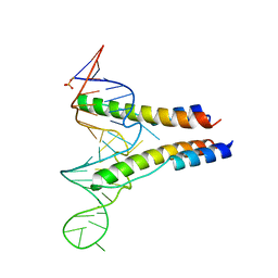 AU of 4pmi by Molmil