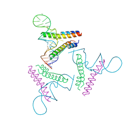 BU of 4pmi by Molmil