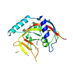 BU of 4pml by Molmil