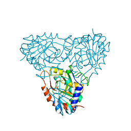 BU of 4pnp by Molmil