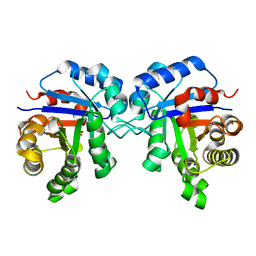 BU of 4poc by Molmil