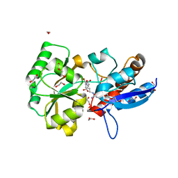 BU of 4pp0 by Molmil