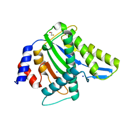 BU of 4pp4 by Molmil