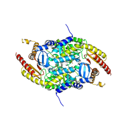 BU of 4ppm by Molmil