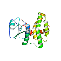 BU of 4pqh by Molmil