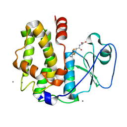 BU of 4pqi by Molmil