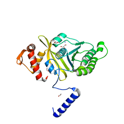 BU of 4pr0 by Molmil