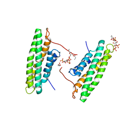 BU of 4pr9 by Molmil