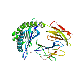 BU of 4prn by Molmil