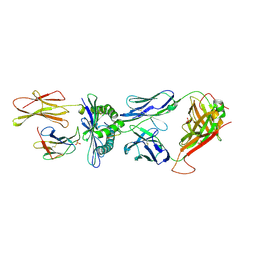 BU of 4prp by Molmil