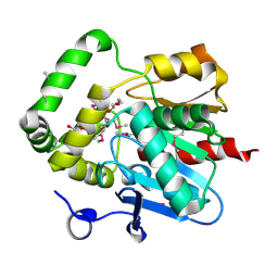 BU of 4psu by Molmil