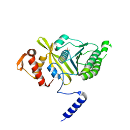 BU of 4psv by Molmil