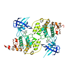 BU of 4pte by Molmil