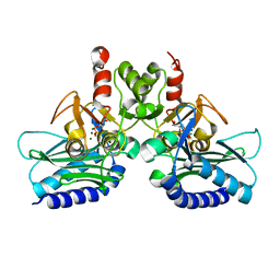 BU of 4ptk by Molmil