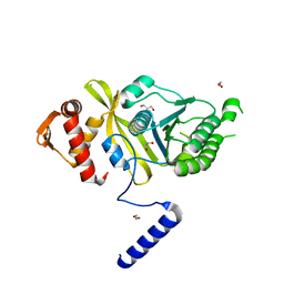 BU of 4ptl by Molmil