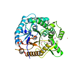 BU of 4ptv by Molmil