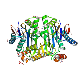 BU of 4pv2 by Molmil