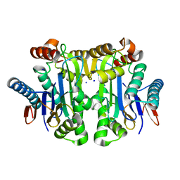 BU of 4pv3 by Molmil