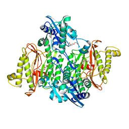 BU of 4pv4 by Molmil