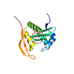 BU of 4pv6 by Molmil