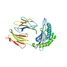 BU of 4pv8 by Molmil