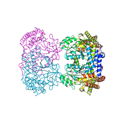 BU of 4pvf by Molmil