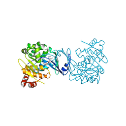 BU of 4pvv by Molmil